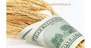 Lương của văn thư trình độ đại học được tính như thế nào?