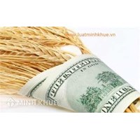 Lương của văn thư trình độ đại học được tính như thế nào?