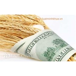 Lương của văn thư trình độ đại học được tính như thế nào?