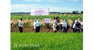 Quy định về dồn điền đổi thửa và vi phạm pháp luật đất đai