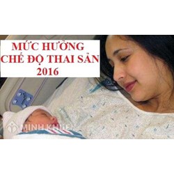 Công ty nợ tiền bảo hiểm thì người lao động có được chế độ bảo hiểm thai sản không ?