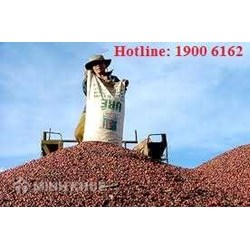 Có được đặt tên thương hiệu riêng cho hàng nhập khẩu để phân phối ?