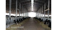 Đăng ký chứng nhận tài sản trên đất xây dựng chuồng trại, chăn nuôi?
