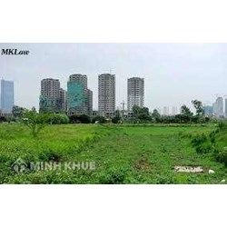 Tranh chấp về đất không có di chúc giải quyết như thế nào?