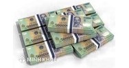 Nghỉ thai sản có phải đóng tiền quỹ công đoàn hay không?