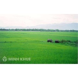 Có được lấy lại đất bán rồi khi chỉ được chứng thực hay không ?