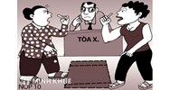 Tranh chấp ranh giới đất sau khi được cấp sổ đỏ giải quyết thế nào?