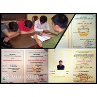 Phát hiện người khác sử dụng bằng giả thì nên xử lý như thế nào ? tố cáo ở đâu ?