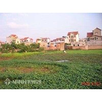 Thủ tục đính chính lại thông tin về thửa đất, tài sản gắn liền với đất?