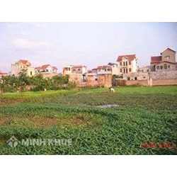 Thủ tục đính chính lại thông tin về thửa đất, tài sản gắn liền với đất?