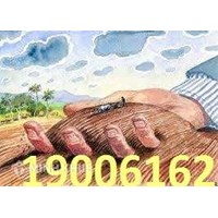 Thi hành án giao đất theo bản án không đúng thực tế?