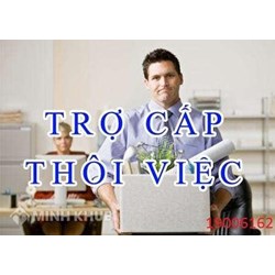 Tư vấn về hưởng các chế độ trợ cấp khi thôi việc ?