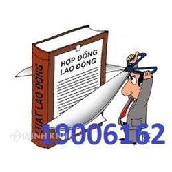 Tư vấn một số vấn đề về lao động khi không ký Hợp đồng lao động