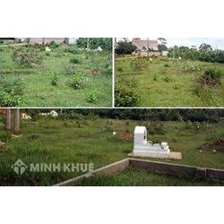Đề nghị tư vấn giải quyết tranh chấp mồ mả ?