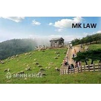 Tư vấn đòi lại đất bị lấn chiếm ?