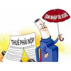 Hỏi về hoàn thuế nhập khẩu với hàng tạm nhập, tái xuất ? Cơ sở xác định hàng hóa được hoàn thuế nhập khẩu ?