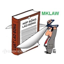 Tự ý nghỉ việc khi công ty thay đổi mức lương ?