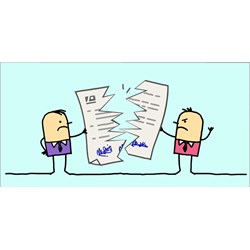 Thực tập sinh nếu chấm dứt hợp đồng thì có chịu trách nhiệm gì không ?
