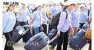 Khiếu nại sự sai phạm của công ty