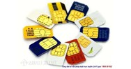 Pháp luật xử lý thế nào đối với những số điện thoại gửi tin nhắn rác, spam?