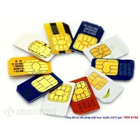 Pháp luật xử lý thế nào đối với những số điện thoại gửi tin nhắn rác, spam?