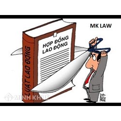 Tư vấn các điều khoản trong hợp đồng lao động ?