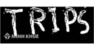 Luật Sở hữu trí tuệ hiện hành và Hiệp định Trips?