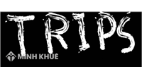 Luật Sở hữu trí tuệ hiện hành và Hiệp định Trips?