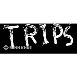 Luật Sở hữu trí tuệ hiện hành và Hiệp định Trips?