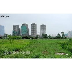 Đòi lại đất được cấp 20 năm bị bán ?