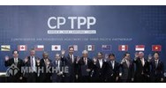 Điều kiện để nhà thầu tham gia Đấu thầu mua sắm theo Hiệp định CPTPP?