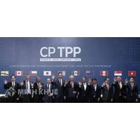 Điều kiện để nhà thầu tham gia Đấu thầu mua sắm theo Hiệp định CPTPP?