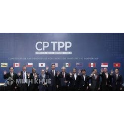 Điều kiện để nhà thầu tham gia Đấu thầu mua sắm theo Hiệp định CPTPP?