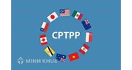 Có những hình thức lựa chọn nhà thầu nào đối với gói thầu mua sắm theo Hiệp định Đối tác Toàn diện và Tiến bộ xuyên Thái Bình Dương (CPTPP).