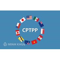 Có những hình thức lựa chọn nhà thầu nào đối với gói thầu mua sắm theo Hiệp định Đối tác Toàn diện và Tiến bộ xuyên Thái Bình Dương (CPTPP).