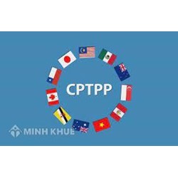 Có những hình thức lựa chọn nhà thầu nào đối với gói thầu mua sắm theo Hiệp định Đối tác Toàn diện và Tiến bộ xuyên Thái Bình Dương (CPTPP).