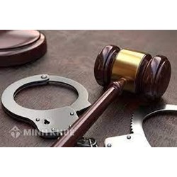 Phụ nữ đang nuôi con nhỏ có phải chấp hành án phạt tù không? Hoãn thế nào?