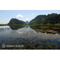 Thực hành tiết kiệm, chống lãng phí trong quản lý, khai thác, sử dụng tài nguyên