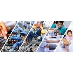 Thực hành tiết kiệm, chống lãng phí trong quản lý, sử dụng lao động trong khu vực nhà nước
