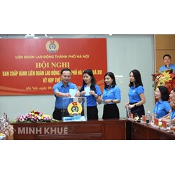 Phân tích tổ chức bộ máy của Tổng Liên đoàn Lao động Việt Nam