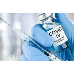 Phân tích nhiệm vụ, quyền hạn và tổ chức bộ máy quỹ vắc xin phòng chống Covid-19 Việt Nam