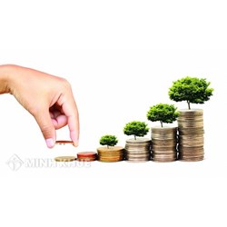 Thủ tục cấp phép đối với tổ chức tài chính vi mô là công ty trách nhiệm hữu hạn một thành viên