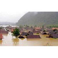 Đối tượng được miễn đóng Quỹ phòng, chống thiên tai theo quy định pháp luật hiện hành