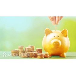 Tìm hiểu về cơ cấu tổ chức của chương trình, dự án tài chính vi mô