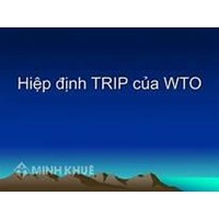 Khái quát chung về Hiệp định TRIPS ? Mục tiêu và nguyên tắc 