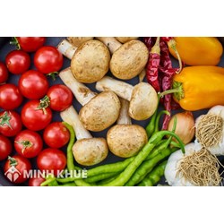 Các trường hợp được miễn phí kiểm dịch thực vật và nội dung liên quan theo Thông tư 33/2021/TT-BTC 
