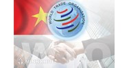Tổng quan về cơ chế giải quyết tranh chấp của WTO