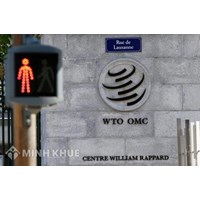 Thủ tục giải quyết tranh chấp của tổ chức thương mại thế giới - WTO