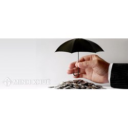 Tổ chức tham gia bảo hiểm tiền gửi là gì? Cấp chứng nhận tham gia bảo hiểm tiền gửi