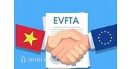 Quyền sở hữu trí tuệ (IPRs), thương mại và phát triển bền vững 